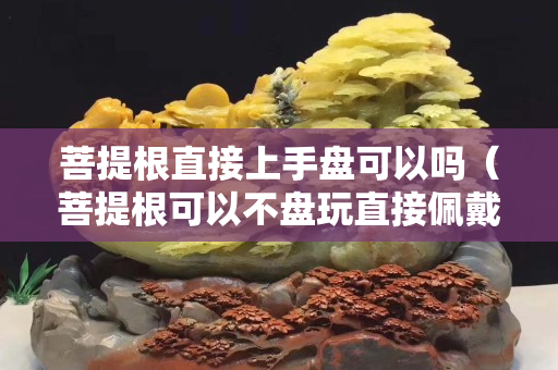 菩提根直接上手盘可以吗（菩提根可以不盘玩直接佩戴嘛）