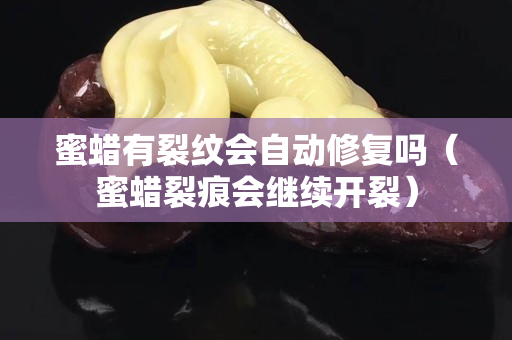 蜜蜡有裂纹会自动修复吗（蜜蜡裂痕会继续开裂）