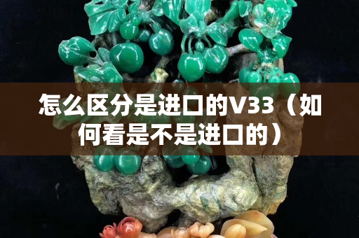 怎么区分是进口的V33（如何看是不是进口的）