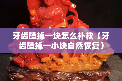 牙齿磕掉一块怎么补救（牙齿磕掉一小块自然恢复）