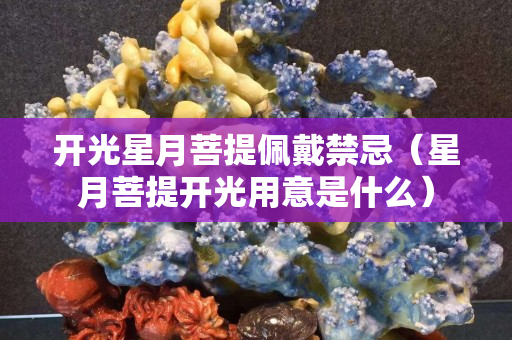 开光星月菩提佩戴禁忌（星月菩提开光用意是什么）