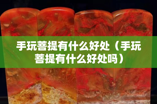 手玩菩提有什么好处（手玩菩提有什么好处吗）