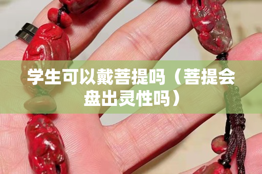 学生可以戴菩提吗（菩提会盘出灵性吗）