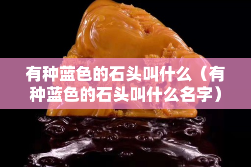 有种蓝色的石头叫什么（有种蓝色的石头叫什么名字）