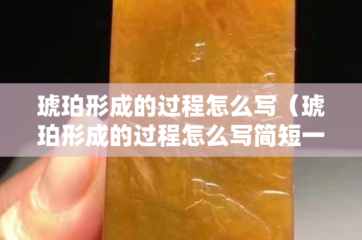 琥珀形成的过程怎么写（琥珀形成的过程怎么写简短一点）