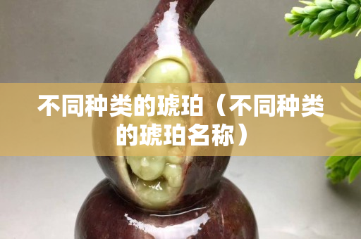 不同种类的琥珀（不同种类的琥珀名称）