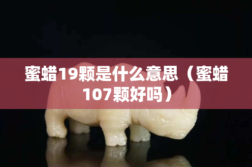 蜜蜡19颗是什么意思（蜜蜡107颗好吗）