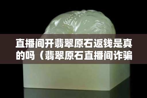 直播间开翡翠原石返钱是真的吗（翡翠原石直播间诈骗举报电话）