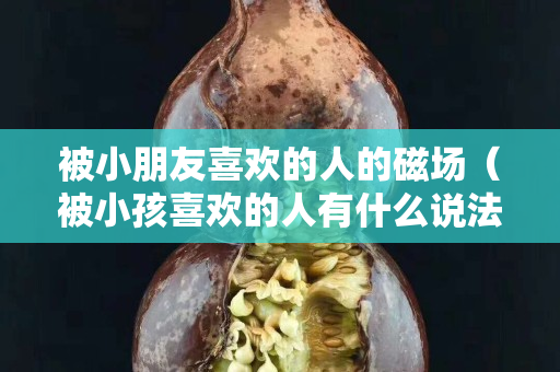 被小朋友喜欢的人的磁场（被小孩喜欢的人有什么说法）