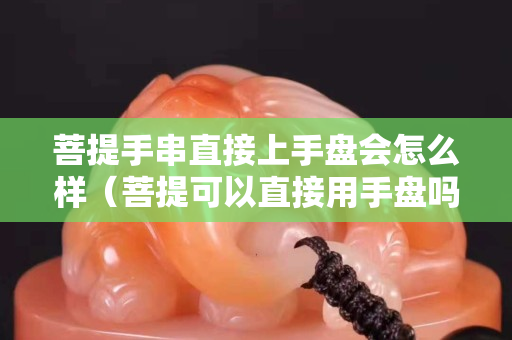 菩提手串直接上手盘会怎么样（菩提可以直接用手盘吗）