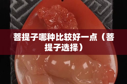 菩提子哪种比较好一点（菩提子选择）