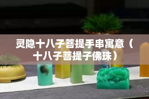 灵隐十八子菩提手串寓意（十八子菩提子佛珠）