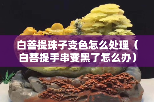 白菩提珠子变色怎么处理（白菩提手串变黑了怎么办）