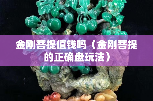 金刚菩提值钱吗（金刚菩提的正确盘玩法）