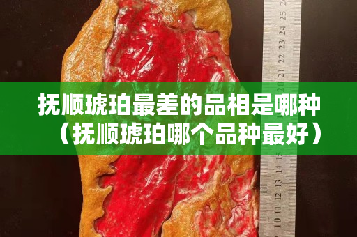 抚顺琥珀最差的品相是哪种（抚顺琥珀哪个品种最好）