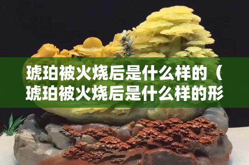 琥珀被火烧后是什么样的（琥珀被火烧后是什么样的形状）