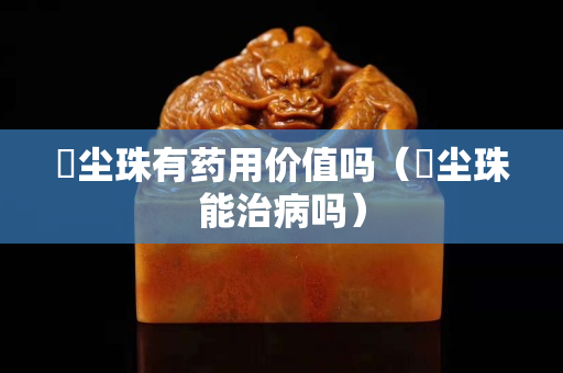 雮尘珠有药用价值吗（雮尘珠能治病吗）