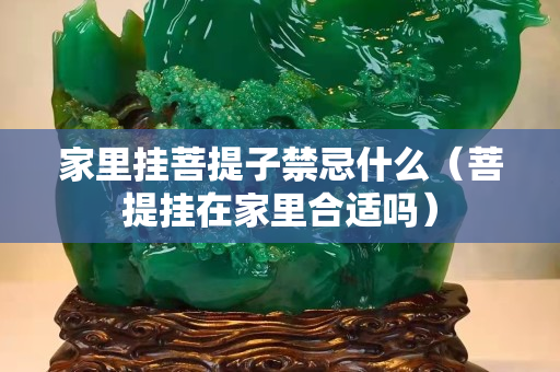 家里挂菩提子禁忌什么（菩提挂在家里合适吗）