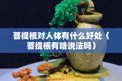 菩提根对人体有什么好处（菩提根有啥说法吗）