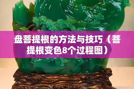 盘菩提根的方法与技巧（菩提根变色8个过程图）