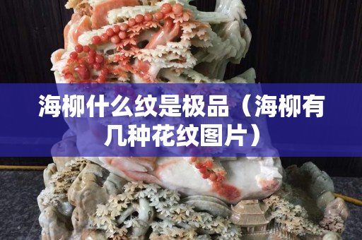 海柳什么纹是极品（海柳有几种花纹图片）