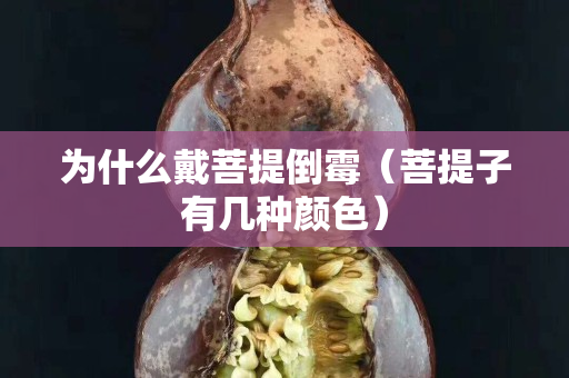 为什么戴菩提倒霉（菩提子有几种颜色）