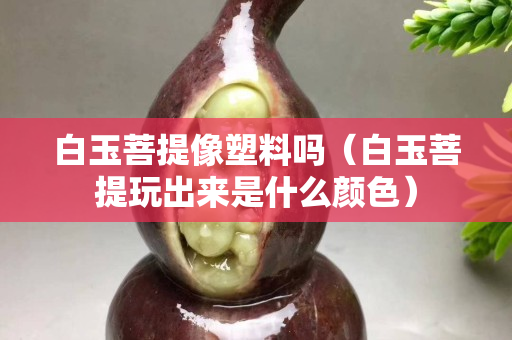 白玉菩提像塑料吗（白玉菩提玩出来是什么颜色）