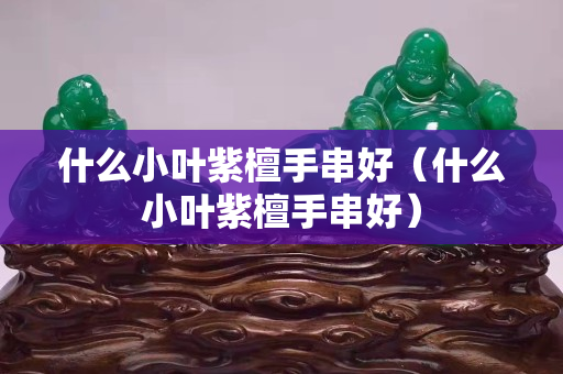 什么小叶紫檀手串好（什么小叶紫檀手串好）