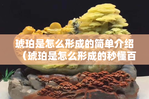 琥珀是怎么形成的简单介绍（琥珀是怎么形成的秒懂百科）