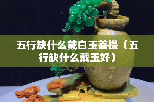 五行缺什么戴白玉菩提（五行缺什么戴玉好）