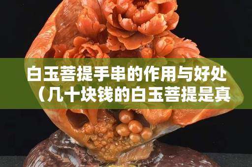 白玉菩提手串的作用与好处（几十块钱的白玉菩提是真的吗）