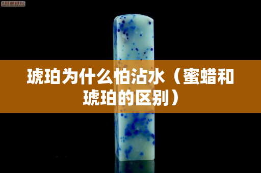 琥珀为什么怕沾水（蜜蜡和琥珀的区别）