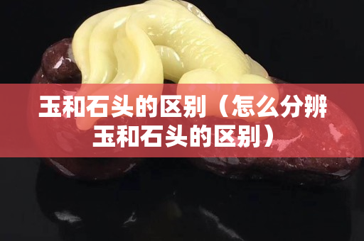 玉和石头的区别（怎么分辨玉和石头的区别）