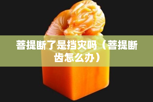 菩提断了是挡灾吗（菩提断齿怎么办）