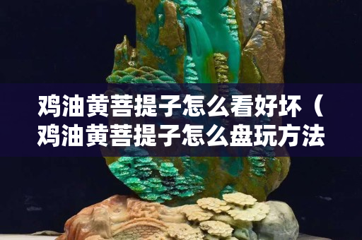 鸡油黄菩提子怎么看好坏（鸡油黄菩提子怎么盘玩方法）