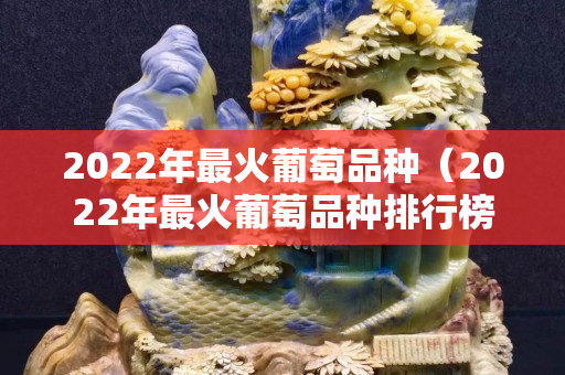 2022年最火葡萄品种（2022年最火葡萄品种排行榜）