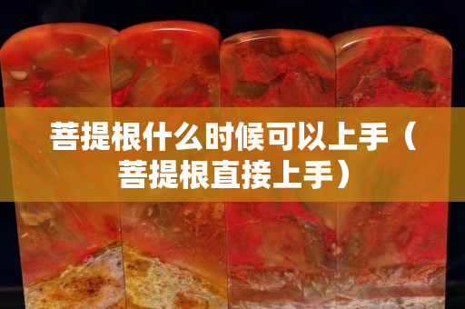 菩提根什么时候可以上手（菩提根直接上手）