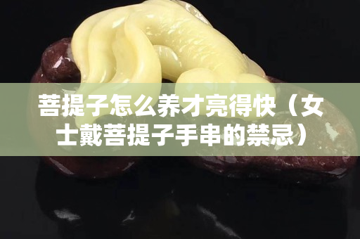 菩提子怎么养才亮得快（女士戴菩提子手串的禁忌）