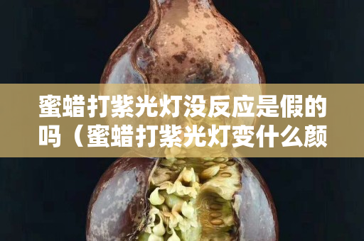 蜜蜡打紫光灯没反应是假的吗（蜜蜡打紫光灯变什么颜色）