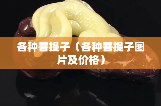 各种菩提子（各种菩提子图片及价格）