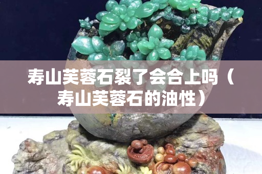 寿山芙蓉石裂了会合上吗（寿山芙蓉石的油性）