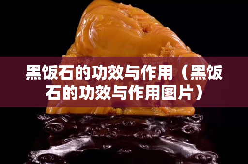 黑饭石的功效与作用（黑饭石的功效与作用图片）