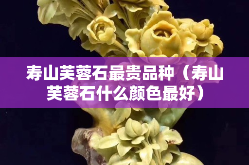 寿山芙蓉石最贵品种（寿山芙蓉石什么颜色最好）