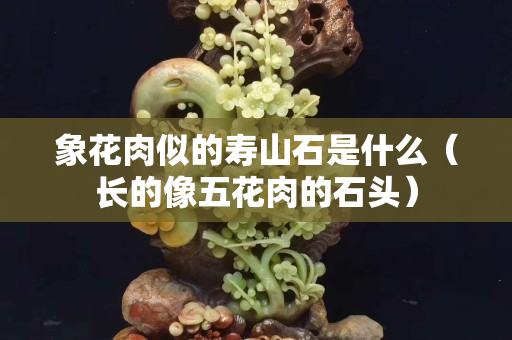 象花肉似的寿山石是什么（长的像五花肉的石头）