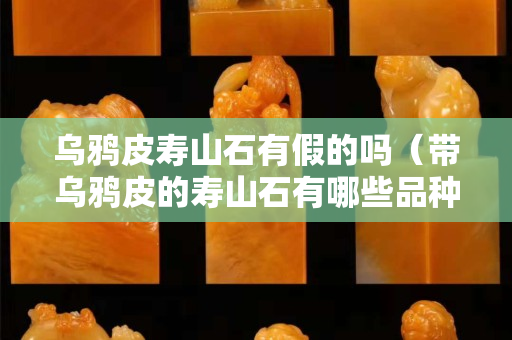 乌鸦皮寿山石有假的吗（带乌鸦皮的寿山石有哪些品种）