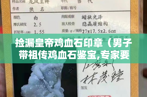 捡漏皇帝鸡血石印章（男子带祖传鸡血石鉴宝,专家要上交）