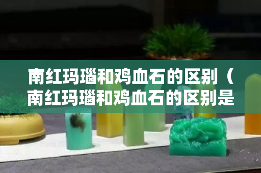 南红玛瑙和鸡血石的区别（南红玛瑙和鸡血石的区别是什么）