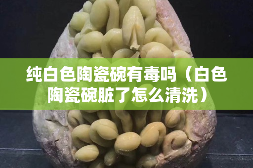 纯白色陶瓷碗有毒吗（白色陶瓷碗脏了怎么清洗）