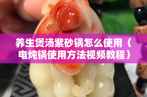 养生煲汤紫砂锅怎么使用（电炖锅使用方法视频教程）