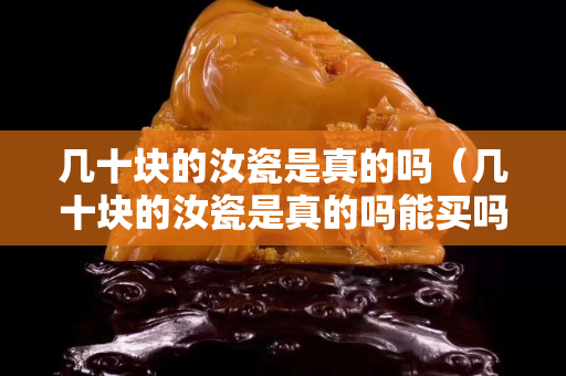 几十块的汝瓷是真的吗（几十块的汝瓷是真的吗能买吗）